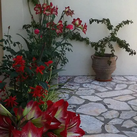 Lejlighed Angelina Roda (Corfu)